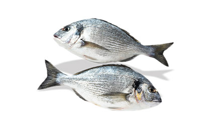 Alyahyaexports-Black-Sea-Bream