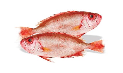 Alyahyaexports-Bull-Eye-Fish