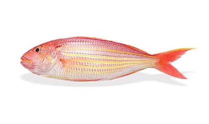 Alyahyaexports-Japanese-Threadfin-Bream