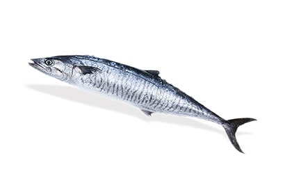 Alyahyaexports-King-Fish