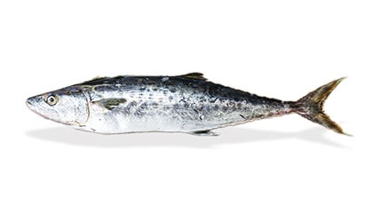 Alyahyaexports-Seer-Fish