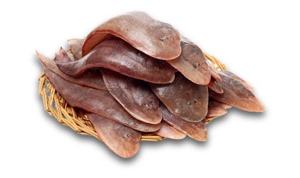 Alyahyaexports-Sole-Fish